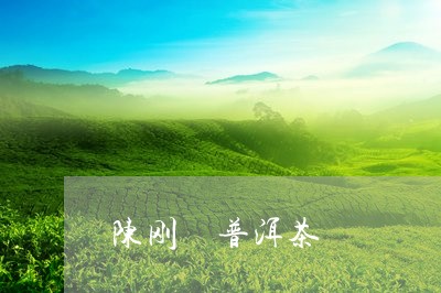 陈刚 普洱茶/2023042969182